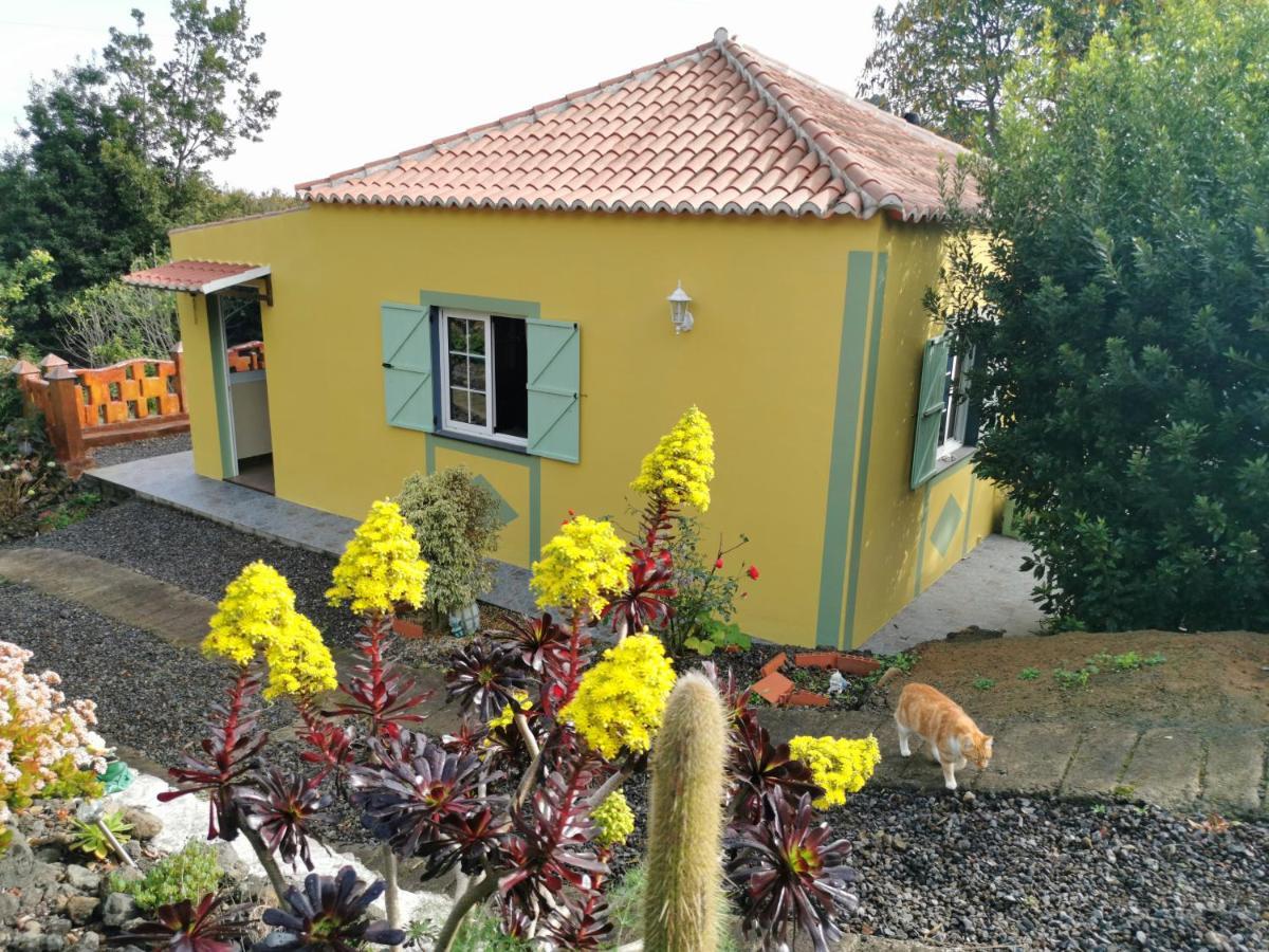 Irana Del Bosque Apartment Brena Baja Exterior photo